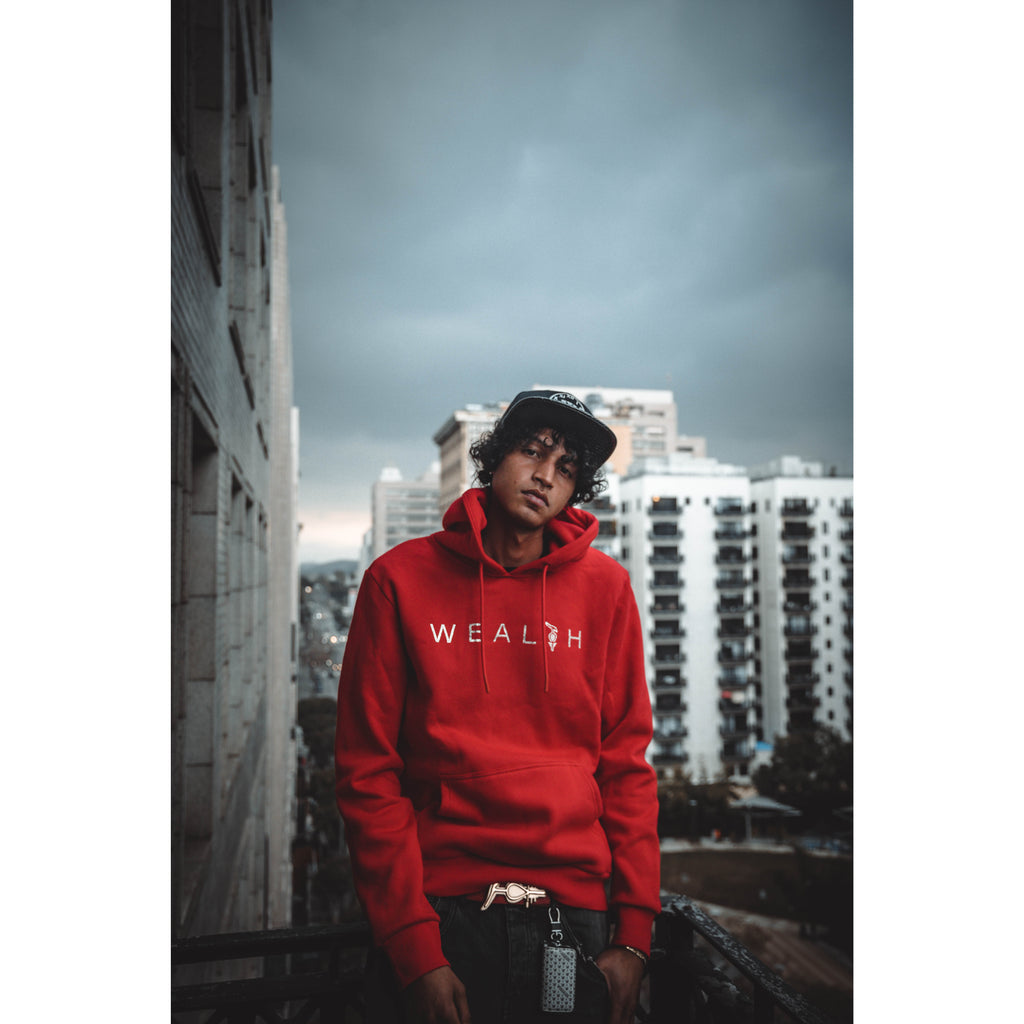 Wealth Staph of Ptah ™  Stones Hoodie
